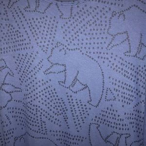 LLR Irma